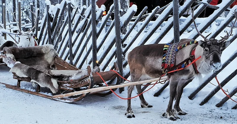 Aurores boréales Rovaniemi ce soir : est-ce que ça vaut le coup ?