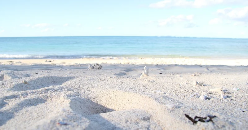 Comment trouver votre propre plage secrète : la méthode que j'utilise